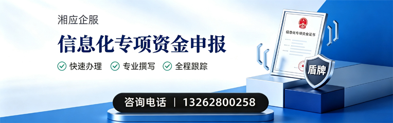 枣庄信息化专项资金申报服务