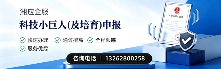 枣庄科技小巨人及培育企业申报服务
