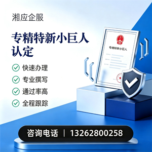 枣庄专精特新小巨人申报服务