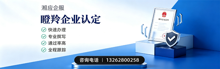 枣庄瞪羚企业认定申报服务
