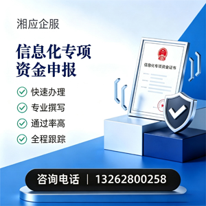 枣庄信息化专项资金申报服务
