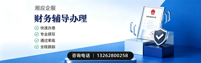 枣庄财务辅导申请服务