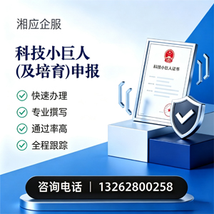枣庄科技小巨人及培育企业申报服务