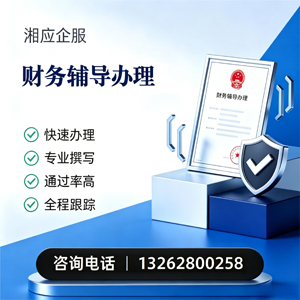 枣庄财务辅导申请服务
