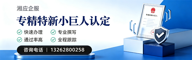 枣庄专精特新小巨人申报服务